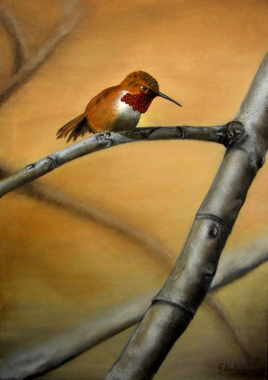 COLIBRI Oil Canvas Animals