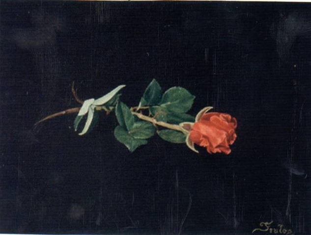 Rosa Óleo Lienzo Floral