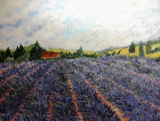 OTRO CAMPOS DE LAVANDAS