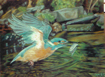 Martin pescador