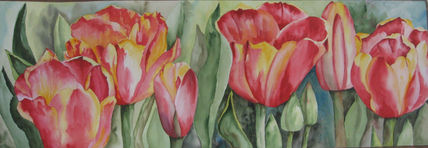 Tulipanes