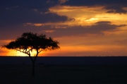 Paisaje de los llanos