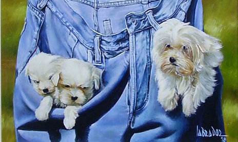 Animales