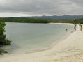 Playa Tortuga Bay
