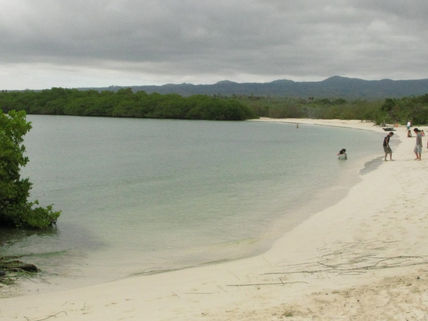 Playa Tortuga Bay