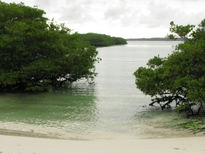 Tortuga Bay