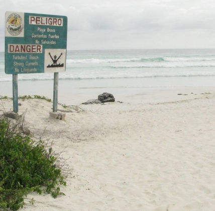 Tortuga Bay
