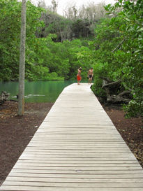 Muelle a la laguna