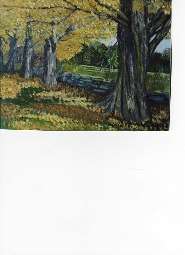 CAMINO DORADO