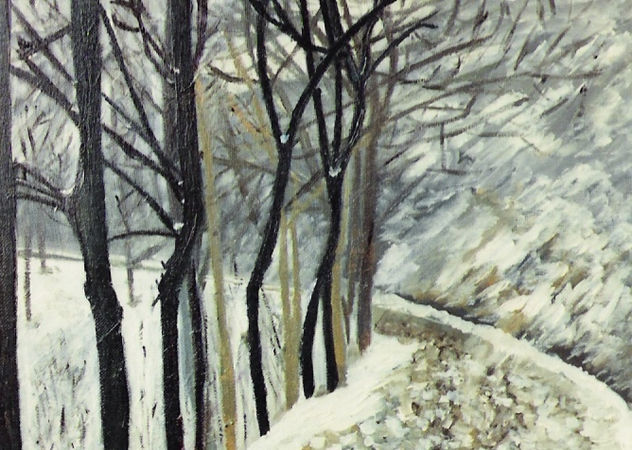 CAMINO NEVADO