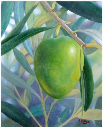 aceituna Oil Canvas Landscaping