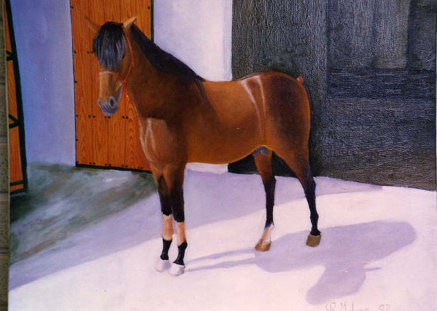 caballo II Oil Canvas Animals