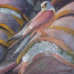 animales thumbnail 2