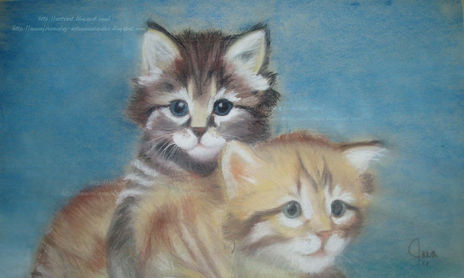 Animalia