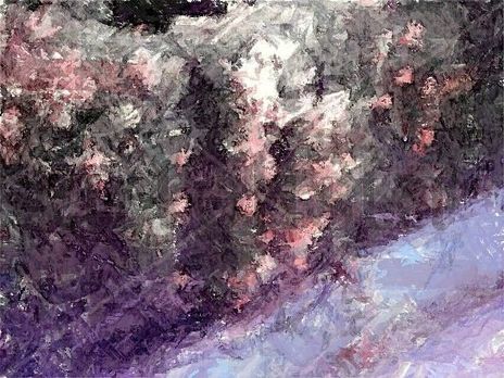 Flores en el muro