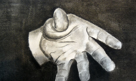 Anatomia