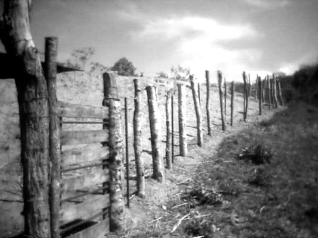 guigue, estado carabobo Naturaleza Blanco y Negro (Digital)