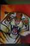 tigre