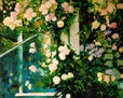 JARDIN 7