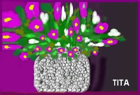 Violetas