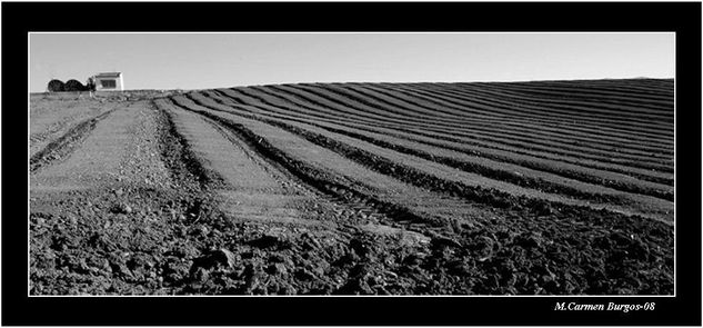 Sudor y Tierra Nature Black and White (Digital)