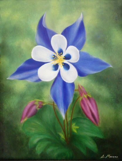 aguileña azul Oil Canvas Floral Painting