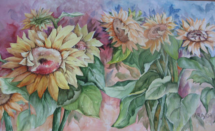 Girasoles