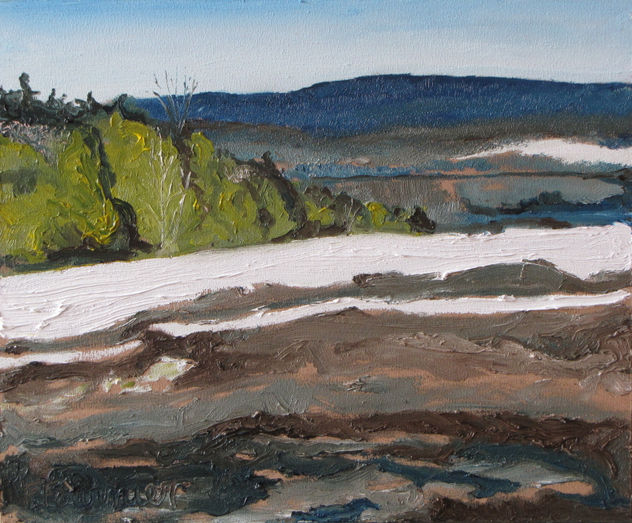 The White and Brown Field