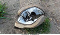 zapatitos