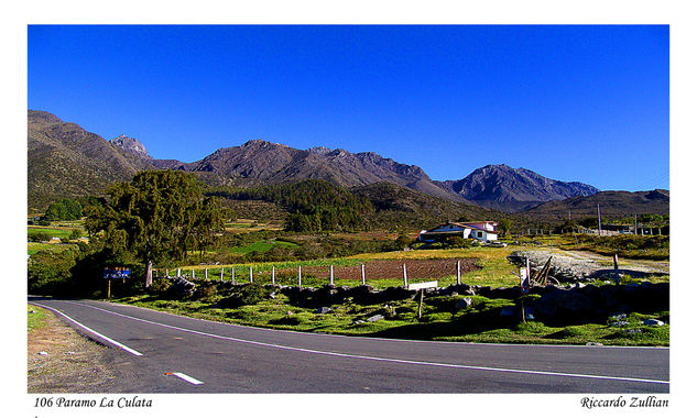 Paramo Andino 