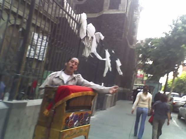pasele