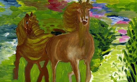 Animales