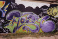 hoshibiza1