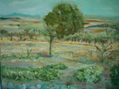 paisaje