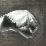 Anatomia thumbnail 2