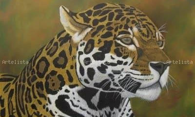 JAGUARES