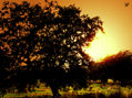 puesta de sol