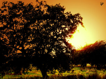 Puesta de sol