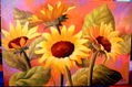 girasoles2