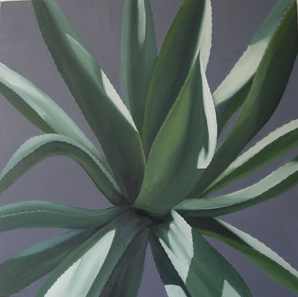 Maguey