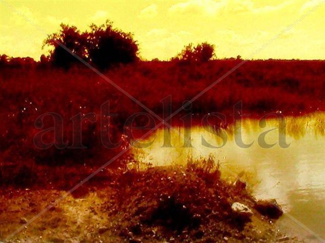 Laguna Oil Canvas Landscaping