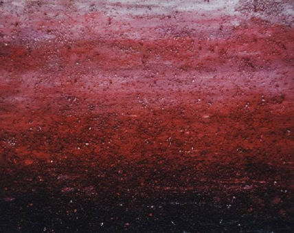 Paisaje en rosa