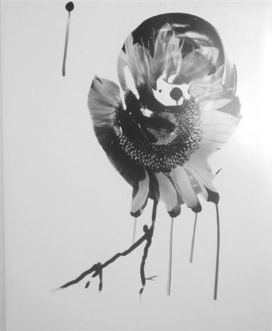 Girasol Conceptual/Abstracto Blanco y Negro (Digital)