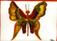 Naranja