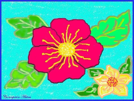 Rosa china
