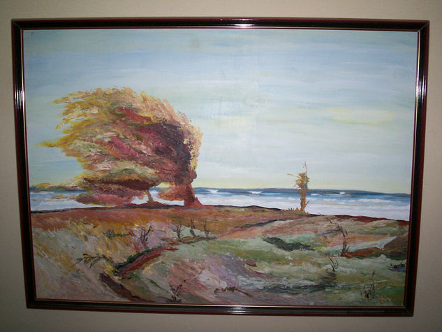 Tempestad Oil Canvas Landscaping