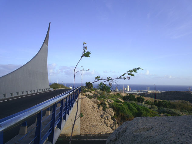 Tenerife Puerto 