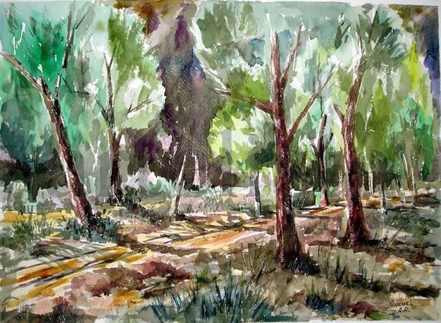 Caminito por el bosque Acuarela Papel Paisaje