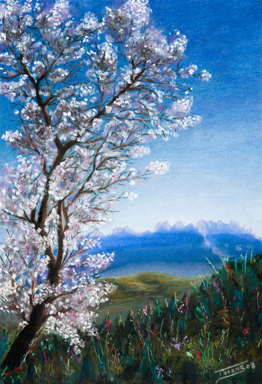 Ametller florit i Montserrat Pastel Card Landscaping