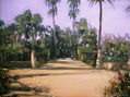 Plaza América de Sevilla II